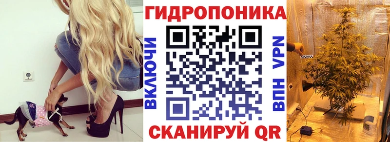 Шишки марихуана MAZAR  Купить  Ахтырский 